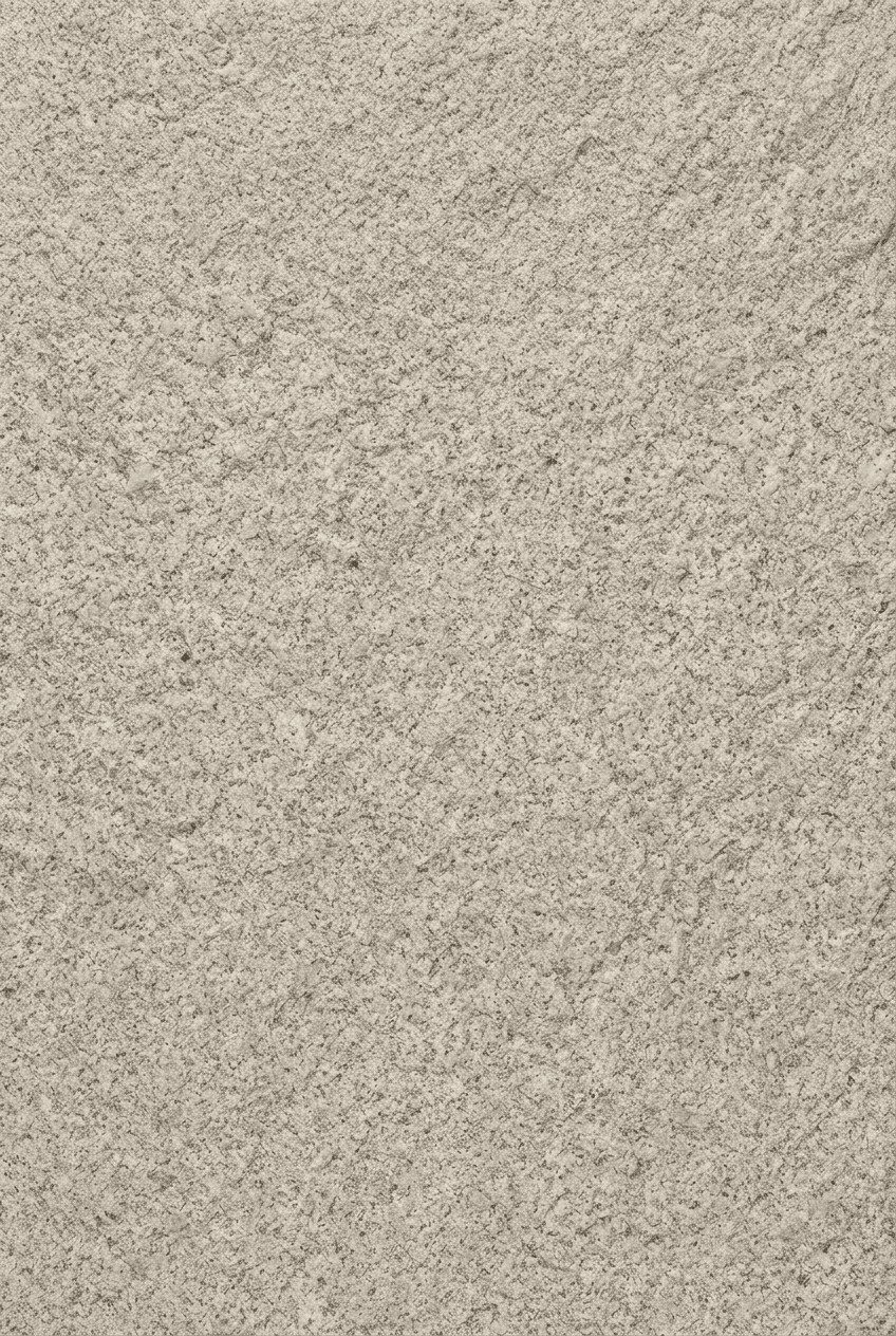 Rough Granite — Beige