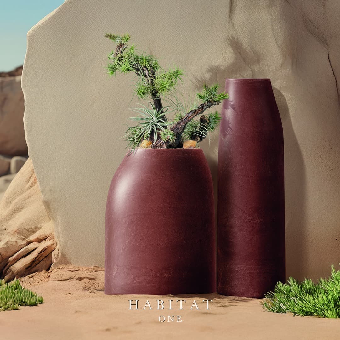 Jardin — 3